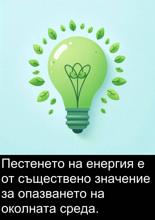 значение: Пестенето на енергия е от съществено значение за опазването на околната среда.
