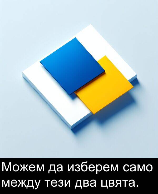 два: Можем да изберем само между тези два цвята.