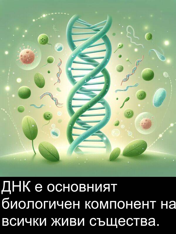 същества: ДНК е основният биологичен компонент на всички живи същества.