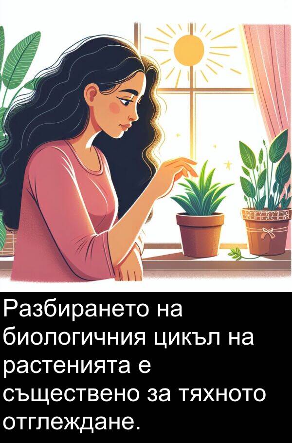 цикъл: Разбирането на биологичния цикъл на растенията е съществено за тяхното отглеждане.