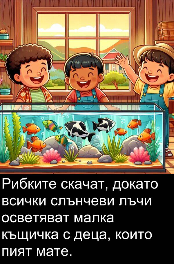 осветяват: Рибките скачат, докато всички слънчеви лъчи осветяват малка къщичка с деца, които пият мате.