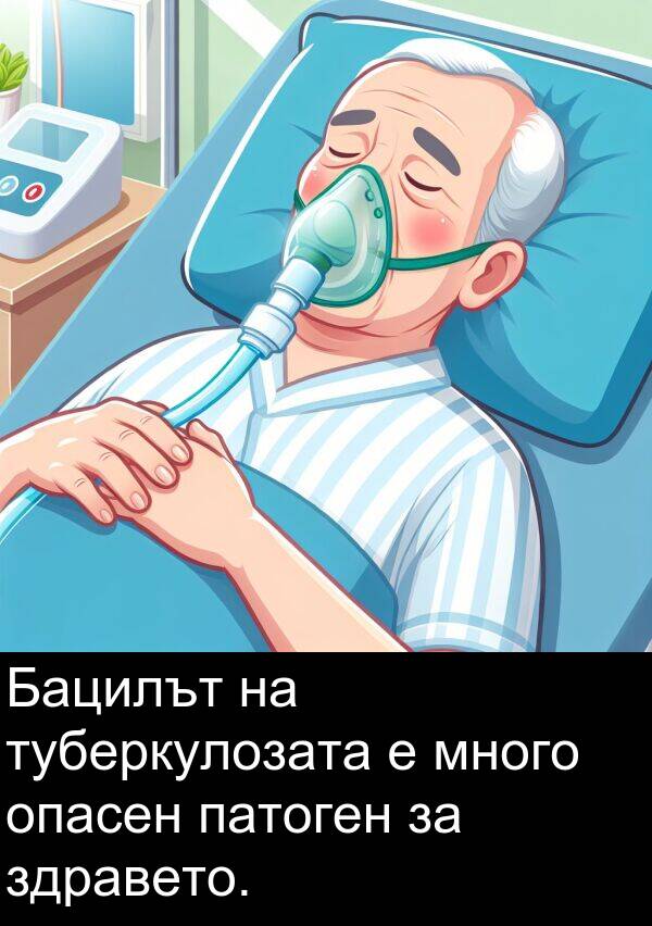 патоген: Бацилът на туберкулозата е много опасен патоген за здравето.