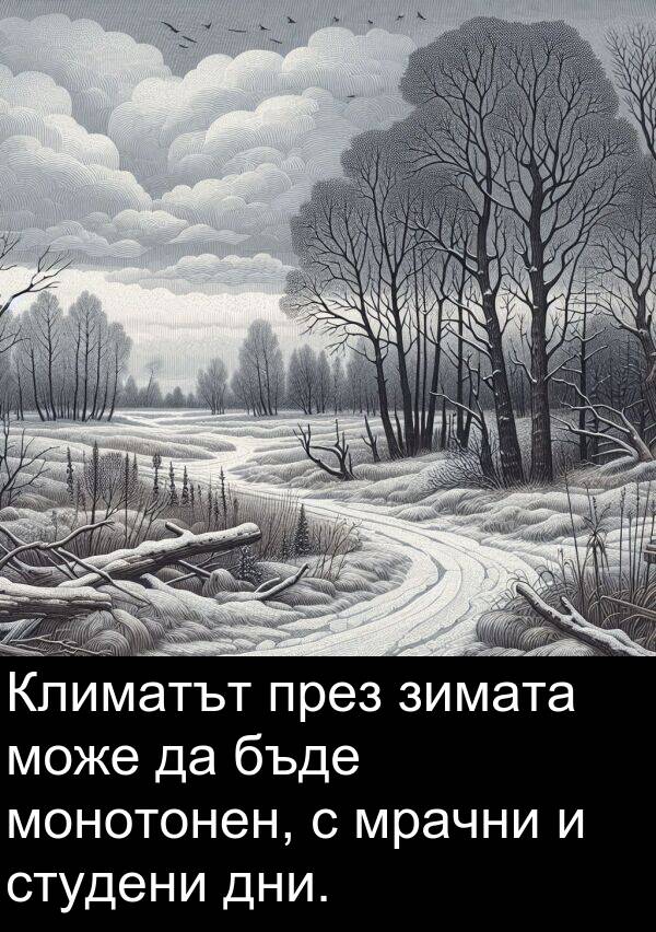 зимата: Климатът през зимата може да бъде монотонен, с мрачни и студени дни.