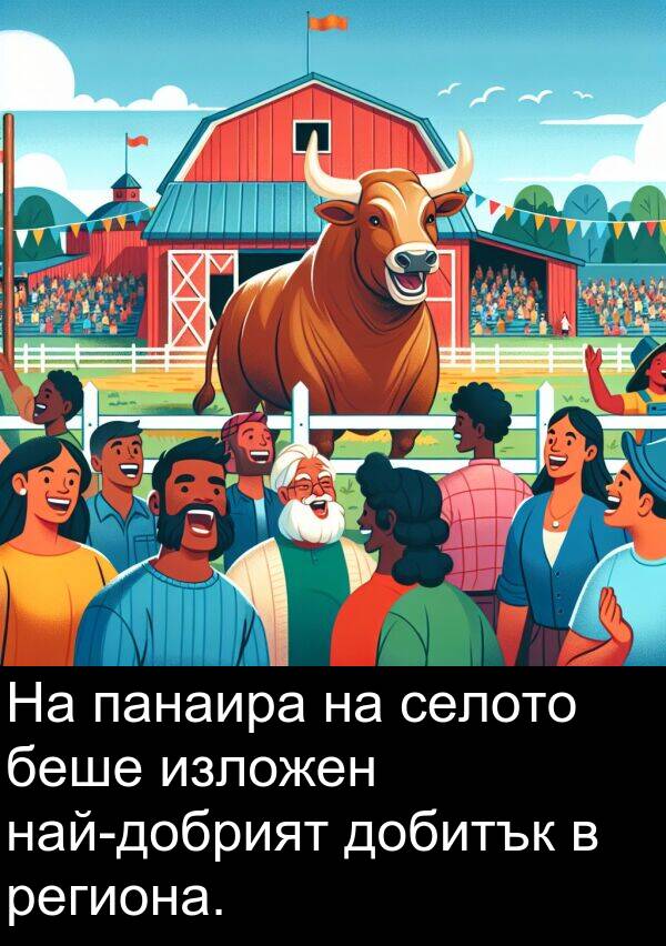 панаира: На панаира на селото беше изложен най-добрият добитък в региона.