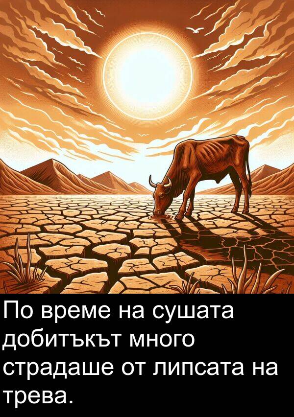 страдаше: По време на сушата добитъкът много страдаше от липсата на трева.