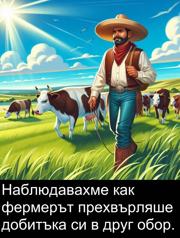 фермерът: Наблюдавахме как фермерът прехвърляше добитъка си в друг обор.