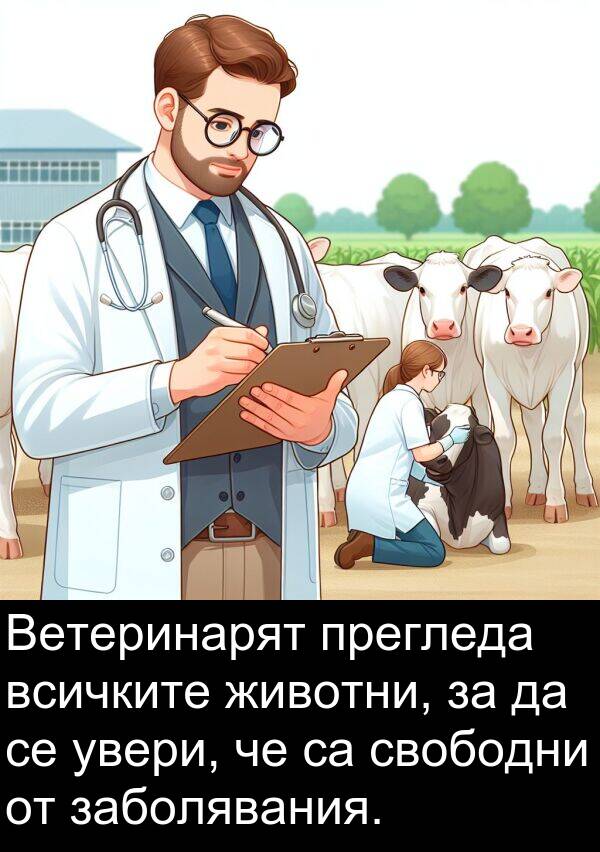 увери: Ветеринарят прегледа всичките животни, за да се увери, че са свободни от заболявания.