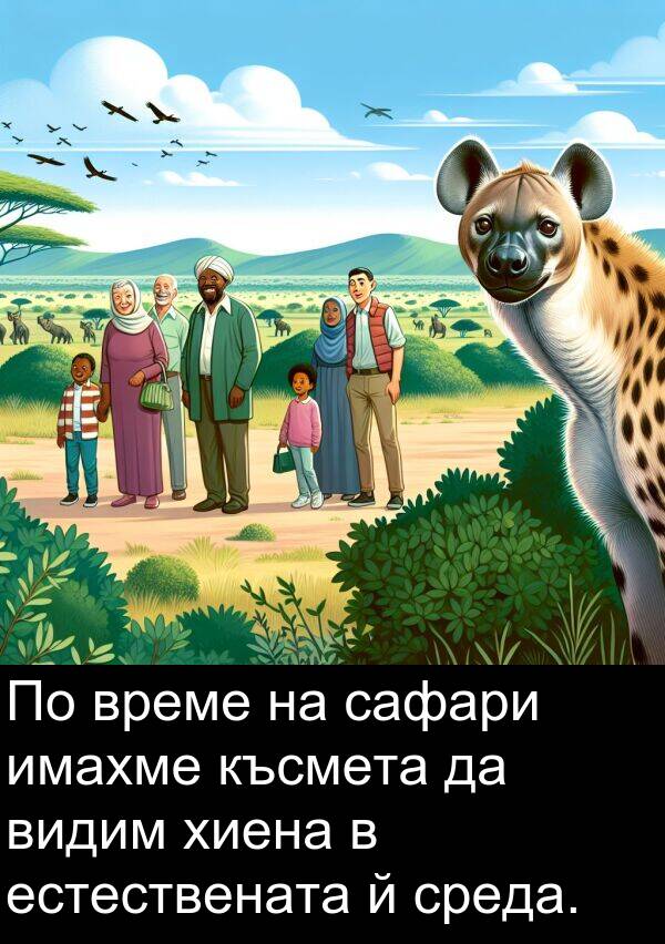 сафари: По време на сафари имахме късмета да видим хиена в естествената й среда.
