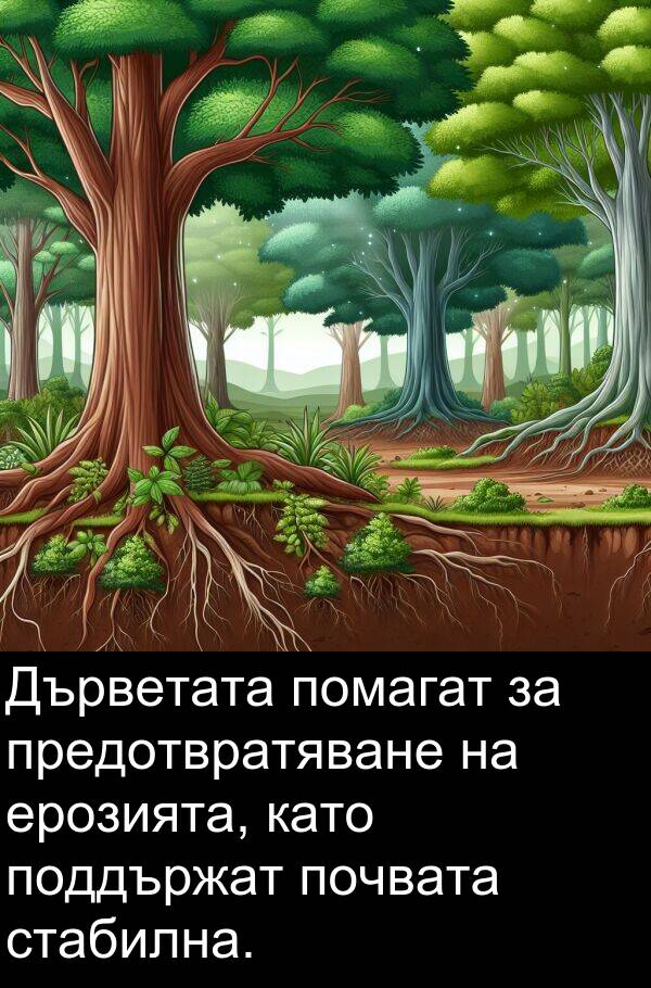 поддържат: Дърветата помагат за предотвратяване на ерозията, като поддържат почвата стабилна.