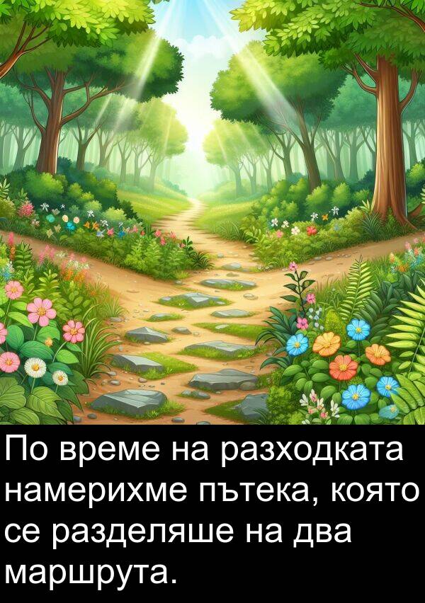два: По време на разходката намерихме пътека, която се разделяше на два маршрута.