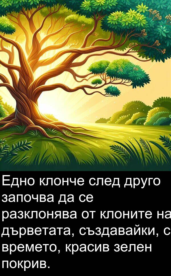 дърветата: Едно клонче след друго започва да се разклонява от клоните на дърветата, създавайки, с времето, красив зелен покрив.