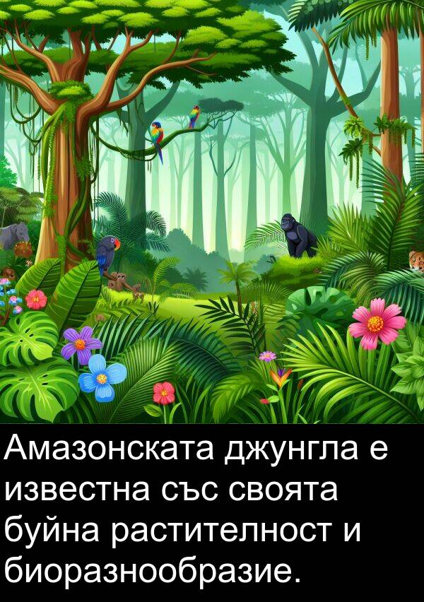 своята: Амазонската джунгла е известна със своята буйна растителност и биоразнообразие.