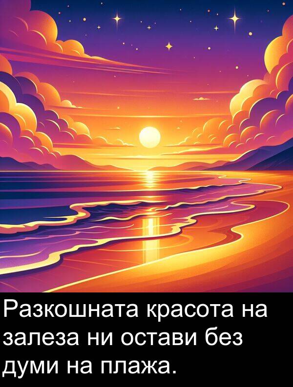 залеза: Разкошната красота на залеза ни остави без думи на плажа.