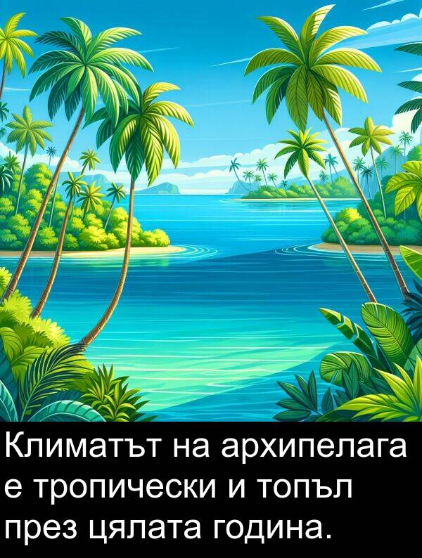 цялата: Климатът на архипелага е тропически и топъл през цялата година.