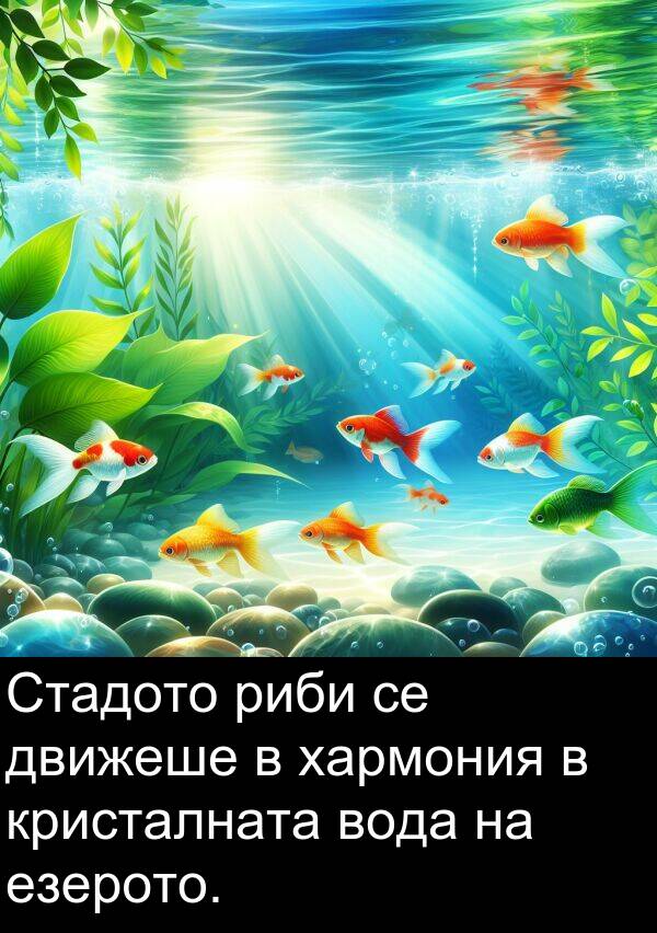 движеше: Стадото риби се движеше в хармония в кристалната вода на езерото.