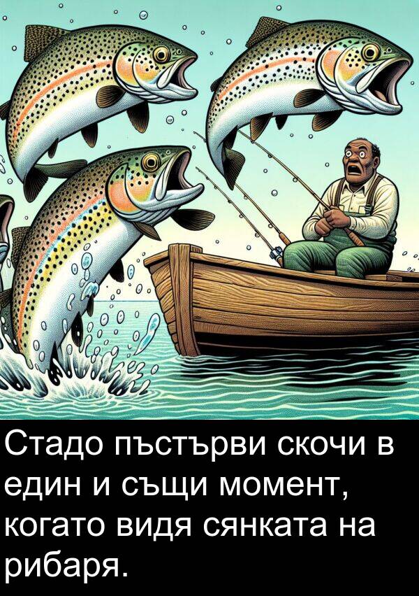 сянката: Стадо пъстърви скочи в един и същи момент, когато видя сянката на рибаря.