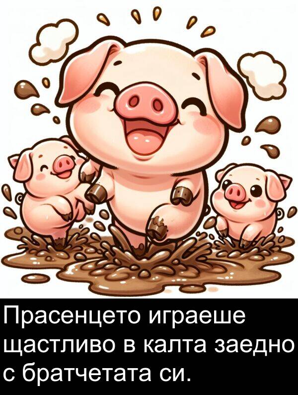 играеше: Прасенцето играеше щастливо в калта заедно с братчетата си.