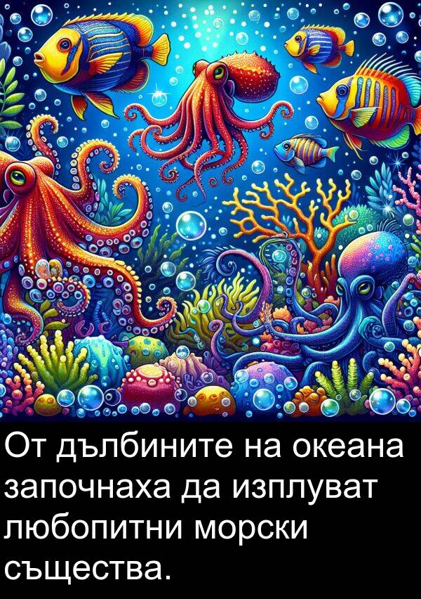 любопитни: От дълбините на океана започнаха да изплуват любопитни морски същества.