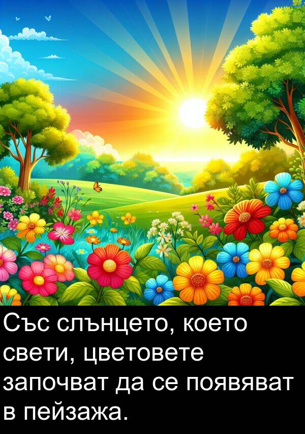 появяват: Със слънцето, което свети, цветовете започват да се появяват в пейзажа.