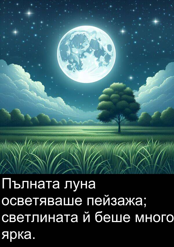 ярка: Пълната луна осветяваше пейзажа; светлината й беше много ярка.