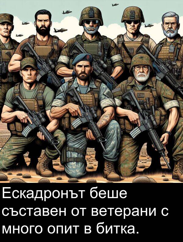 съставен: Ескадронът беше съставен от ветерани с много опит в битка.