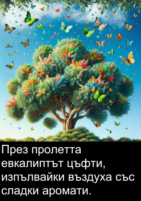 евкалиптът: През пролетта евкалиптът цъфти, изпълвайки въздуха със сладки аромати.