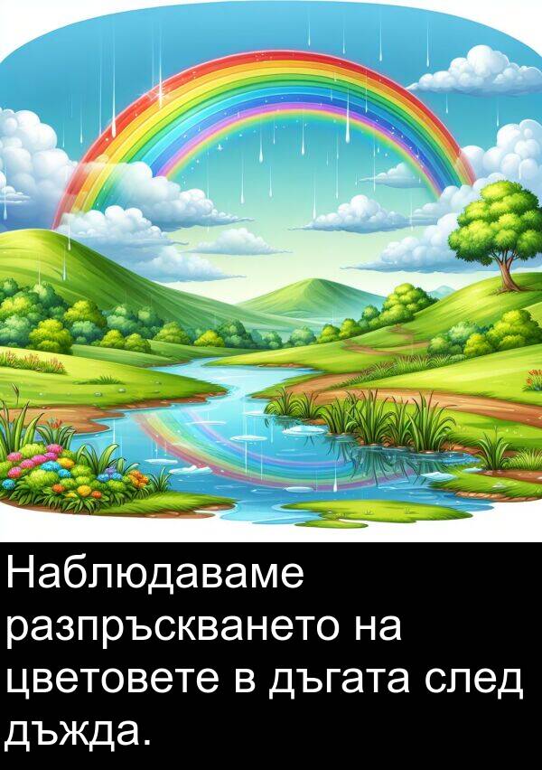 дъгата: Наблюдаваме разпръскването на цветовете в дъгата след дъжда.