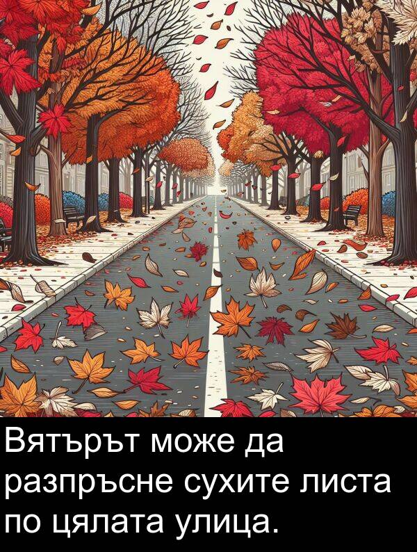 цялата: Вятърът може да разпръсне сухите листа по цялата улица.