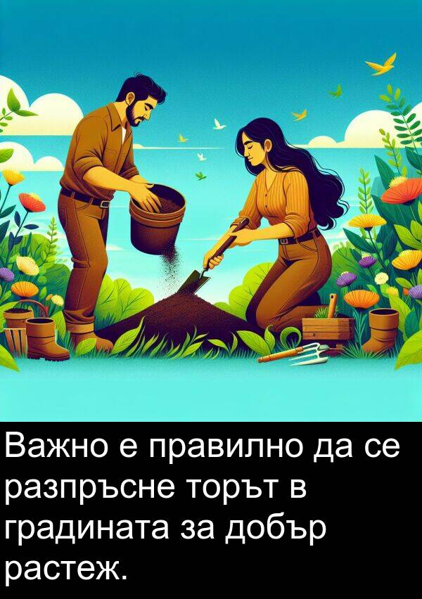 добър: Важно е правилно да се разпръсне торът в градината за добър растеж.