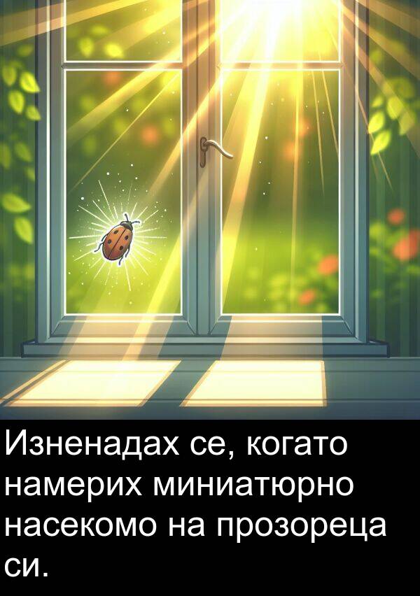 намерих: Изненадах се, когато намерих миниатюрно насекомо на прозореца си.