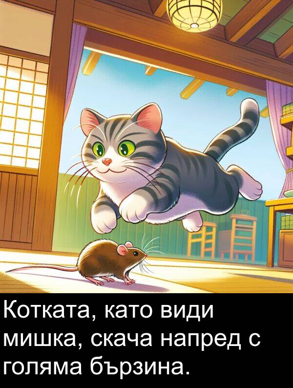 напред: Котката, като види мишка, скача напред с голяма бързина.