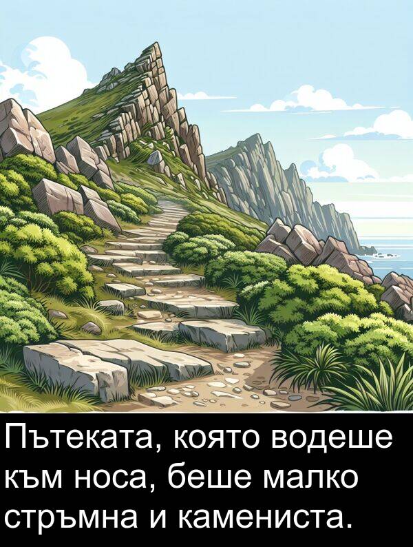 малко: Пътеката, която водеше към носа, беше малко стръмна и камениста.