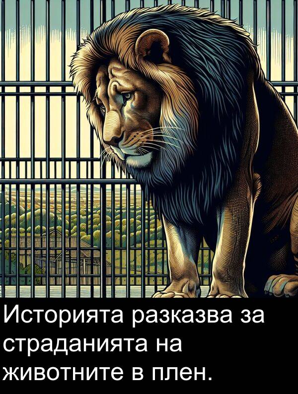 страданията: Историята разказва за страданията на животните в плен.