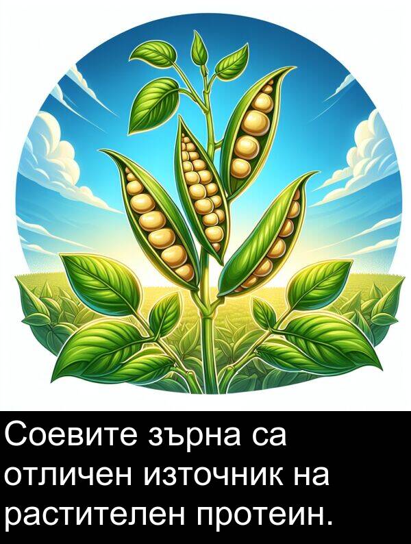 източник: Соевите зърна са отличен източник на растителен протеин.