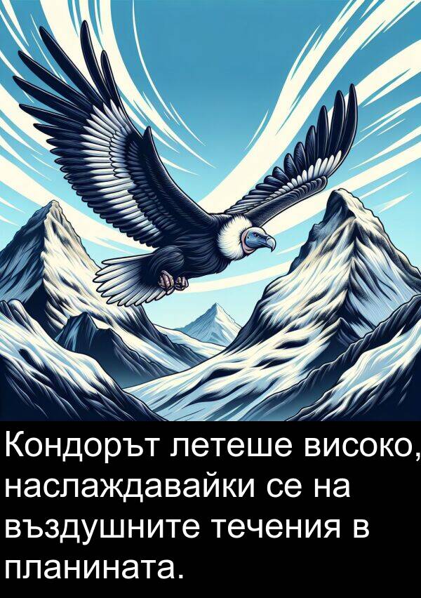 летеше: Кондорът летеше високо, наслаждавайки се на въздушните течения в планината.