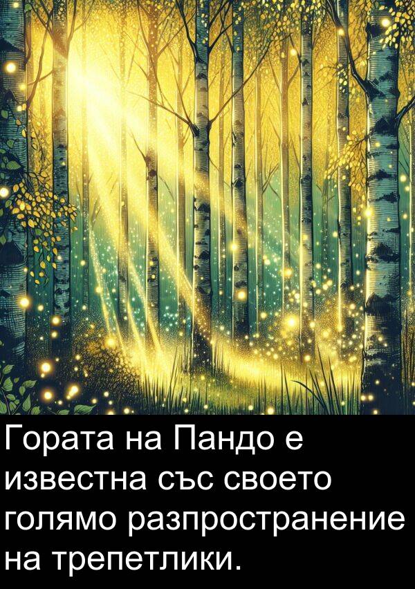 своето: Гората на Пандо е известна със своето голямо разпространение на трепетлики.