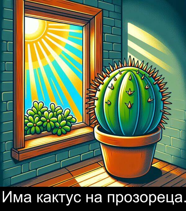 прозореца: Има кактус на прозореца.