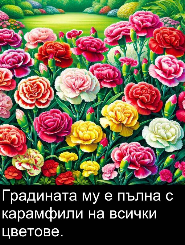 пълна: Градината му е пълна с карамфили на всички цветове.