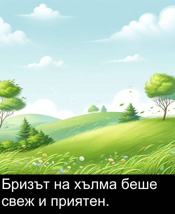 свеж: Бризът на хълма беше свеж и приятен.