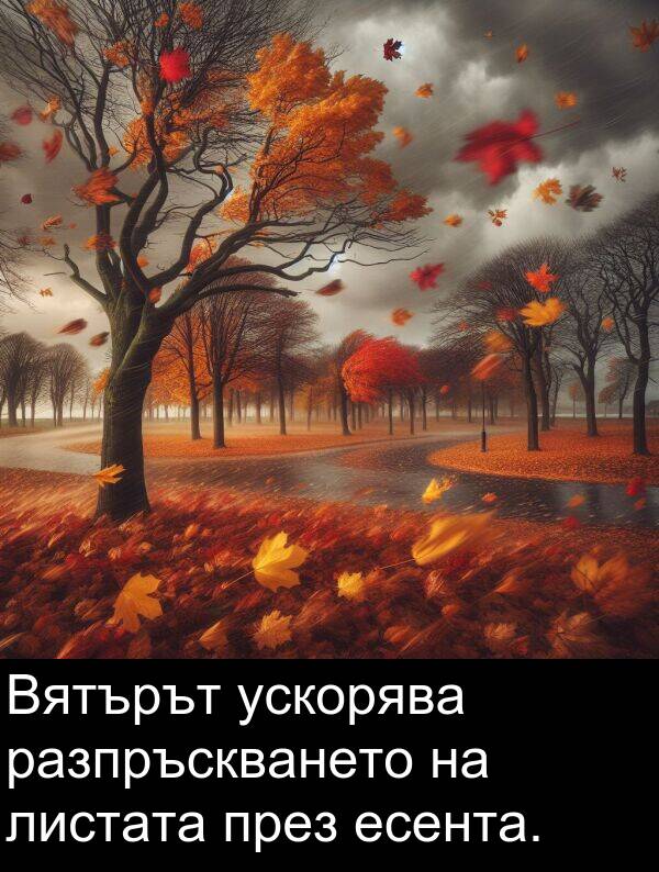 листата: Вятърът ускорява разпръскването на листата през есента.