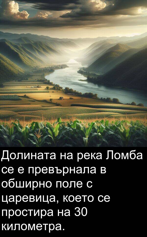 царевица: Долината на река Ломба се е превърнала в обширно поле с царевица, което се простира на 30 километра.