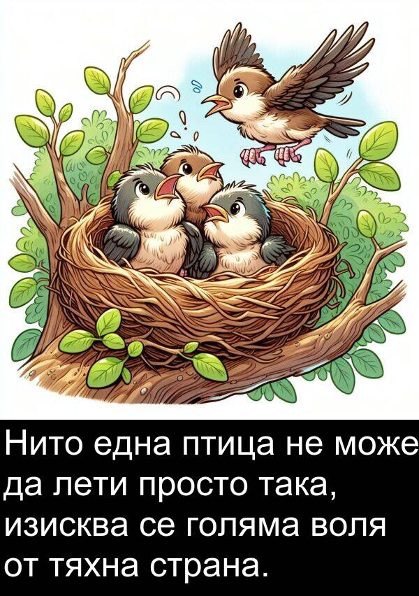 една: Нито една птица не може да лети просто така, изисква се голяма воля от тяхна страна.