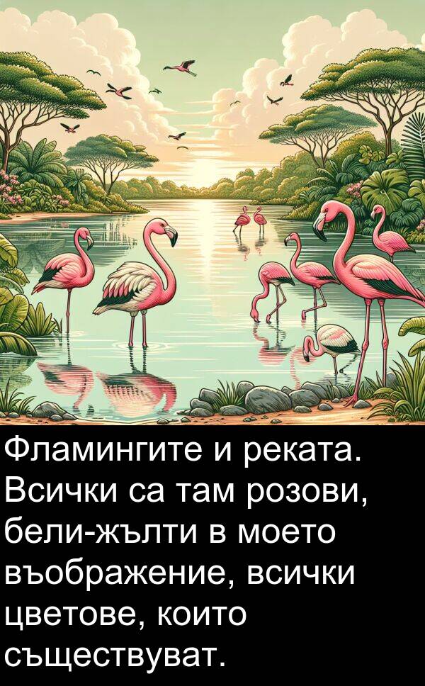 съществуват: Фламингите и реката. Всички са там розови, бели-жълти в моето въображение, всички цветове, които съществуват.
