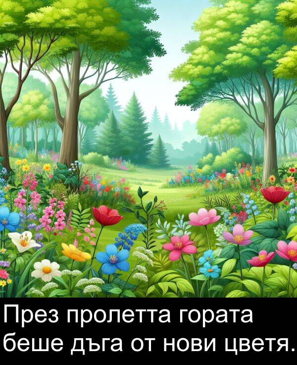 пролетта: През пролетта гората беше дъга от нови цветя.