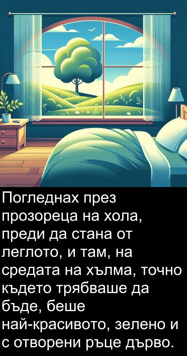 леглото: Погледнах през прозореца на хола, преди да стана от леглото, и там, на средата на хълма, точно където трябваше да бъде, беше най-красивото, зелено и с отворени ръце дърво.