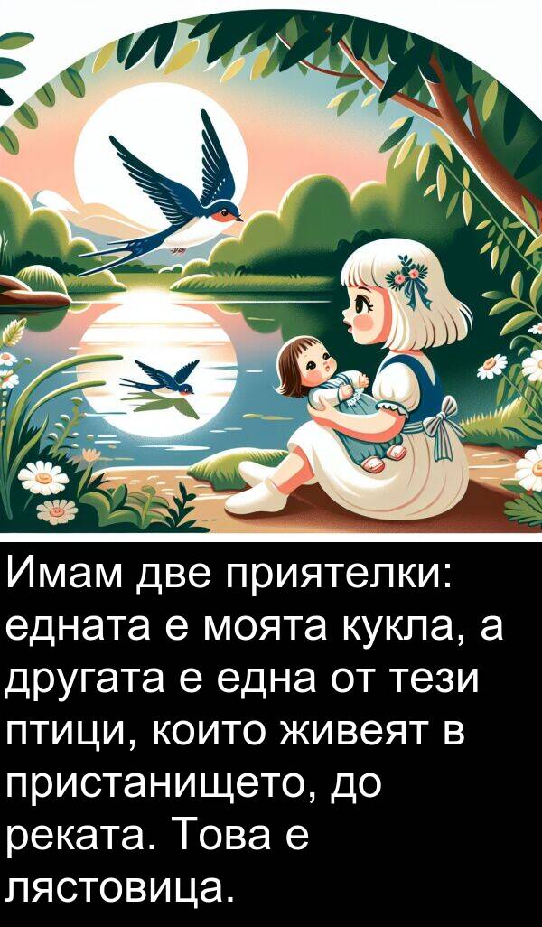 две: Имам две приятелки: едната е моята кукла, а другата е една от тези птици, които живеят в пристанището, до реката. Това е лястовица.