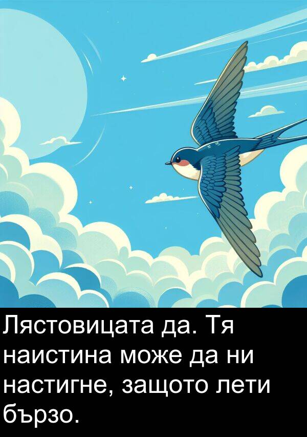 да: Лястовицата да. Тя наистина може да ни настигне, защото лети бързо.