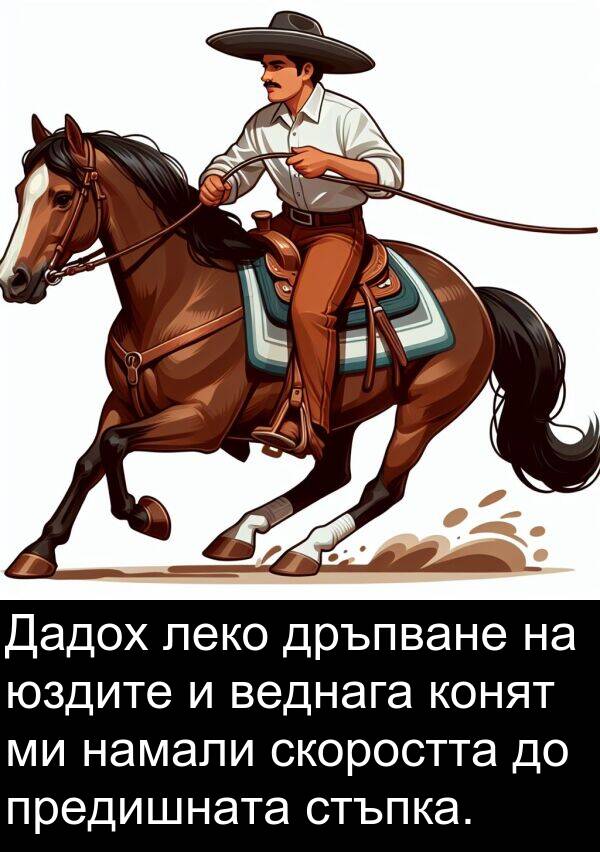 леко: Дадох леко дръпване на юздите и веднага конят ми намали скоростта до предишната стъпка.