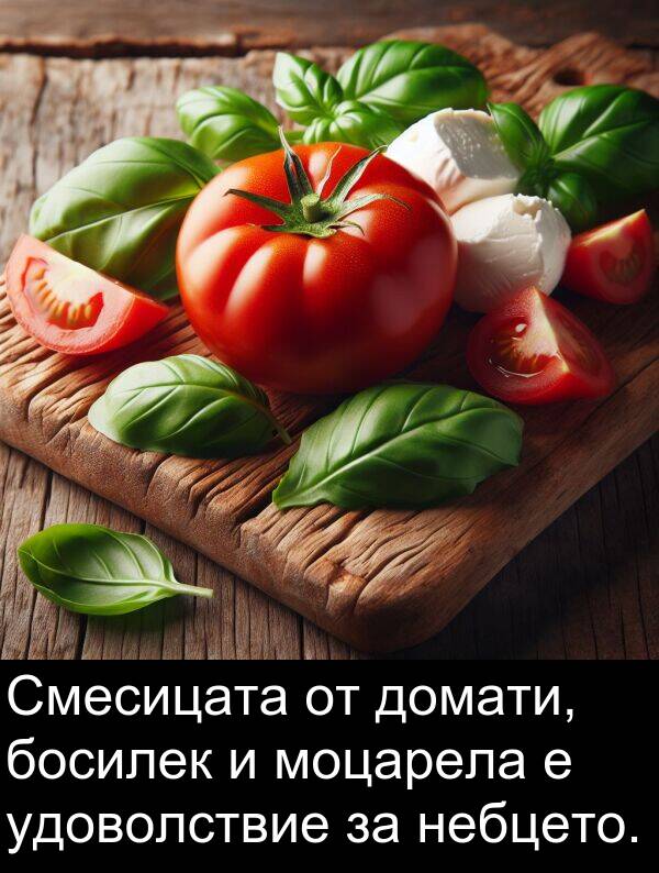 домати: Смесицата от домати, босилек и моцарела е удоволствие за небцето.