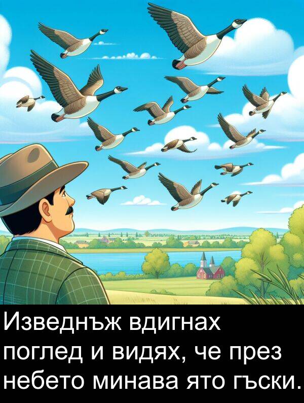 ято: Изведнъж вдигнах поглед и видях, че през небето минава ято гъски.